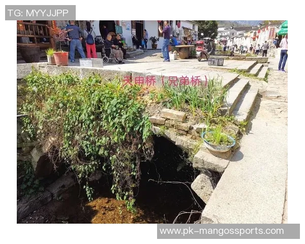 韩国足球队申姓球星的崛起与挑战 逐梦之路的背后故事