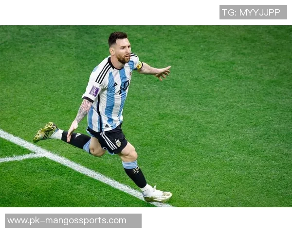 从贝利到梅西 每一代足球巨星的时代印记与传奇足迹 从贝利到梅西 每一代足球巨星的时代印记与传奇足迹